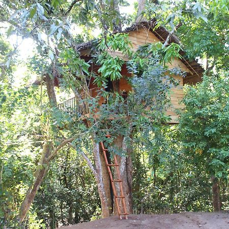 Tree House-Midigama Villa Weligama Dış mekan fotoğraf