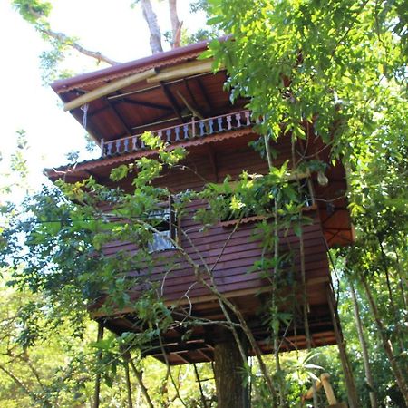 Tree House-Midigama Villa Weligama Dış mekan fotoğraf
