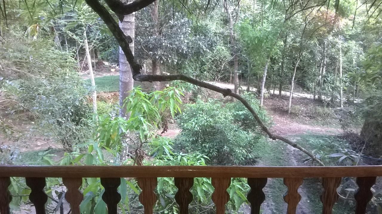 Tree House-Midigama Villa Weligama Dış mekan fotoğraf