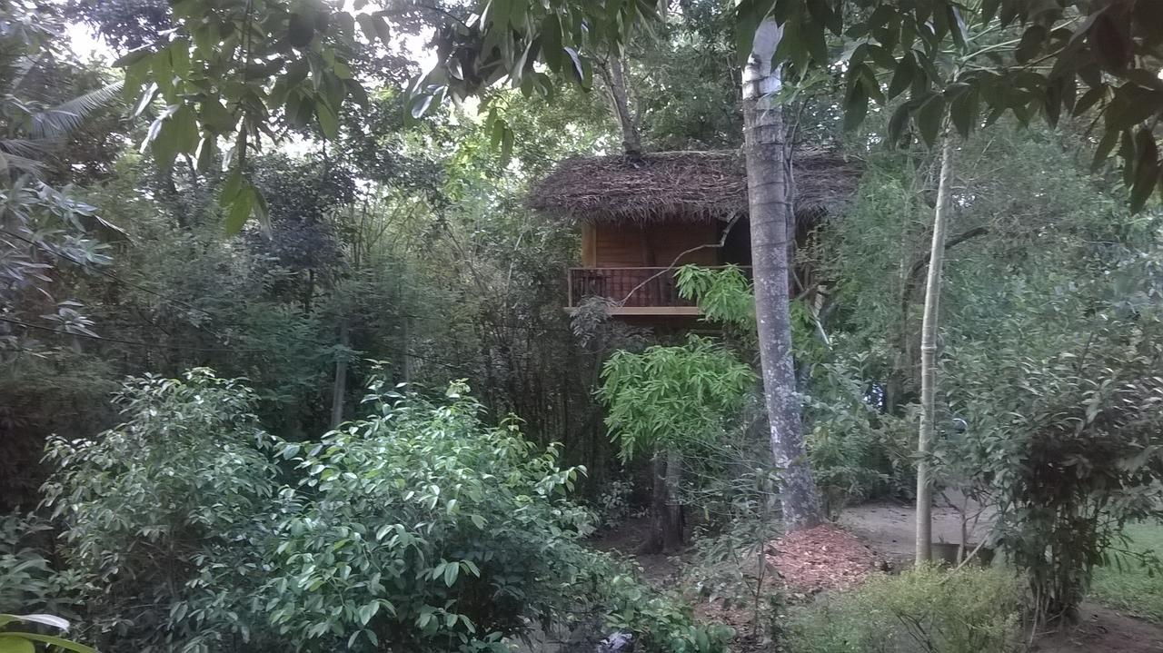 Tree House-Midigama Villa Weligama Dış mekan fotoğraf