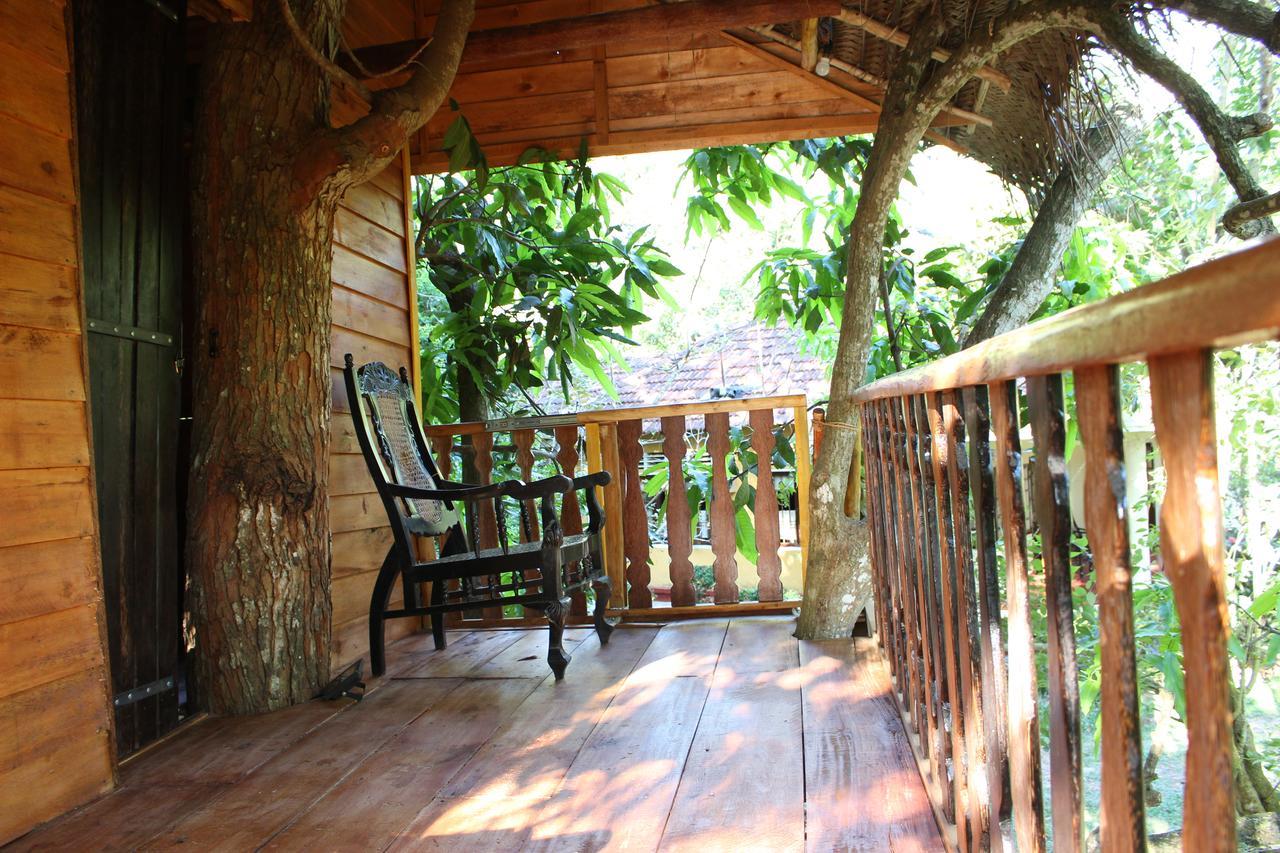 Tree House-Midigama Villa Weligama Dış mekan fotoğraf