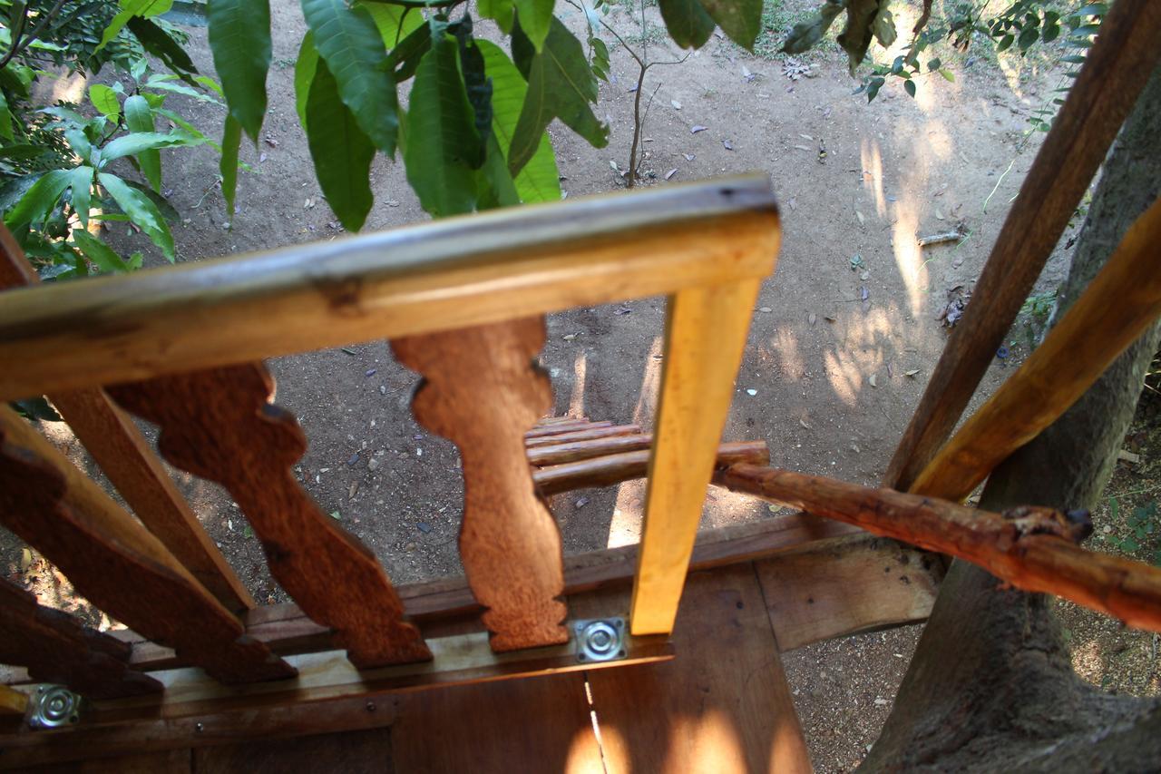Tree House-Midigama Villa Weligama Dış mekan fotoğraf
