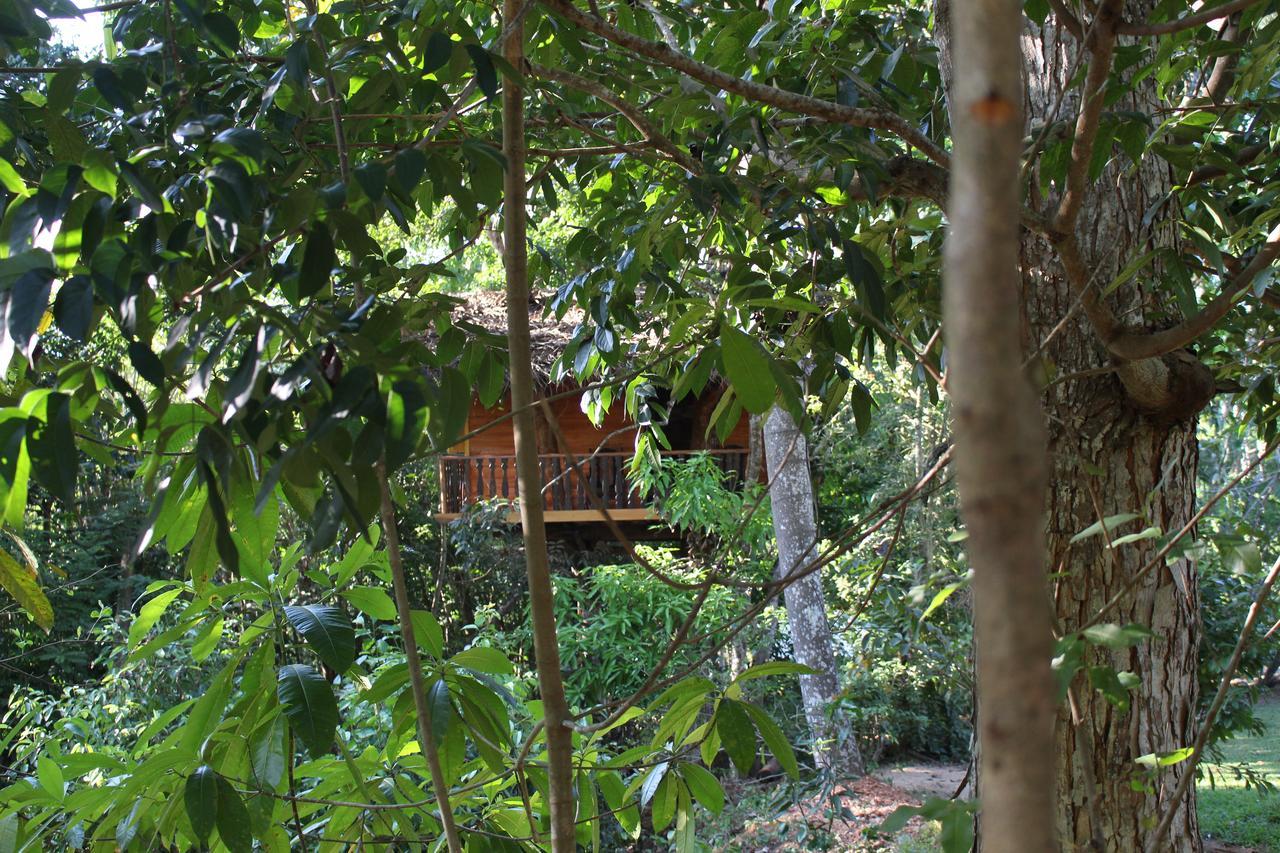 Tree House-Midigama Villa Weligama Dış mekan fotoğraf