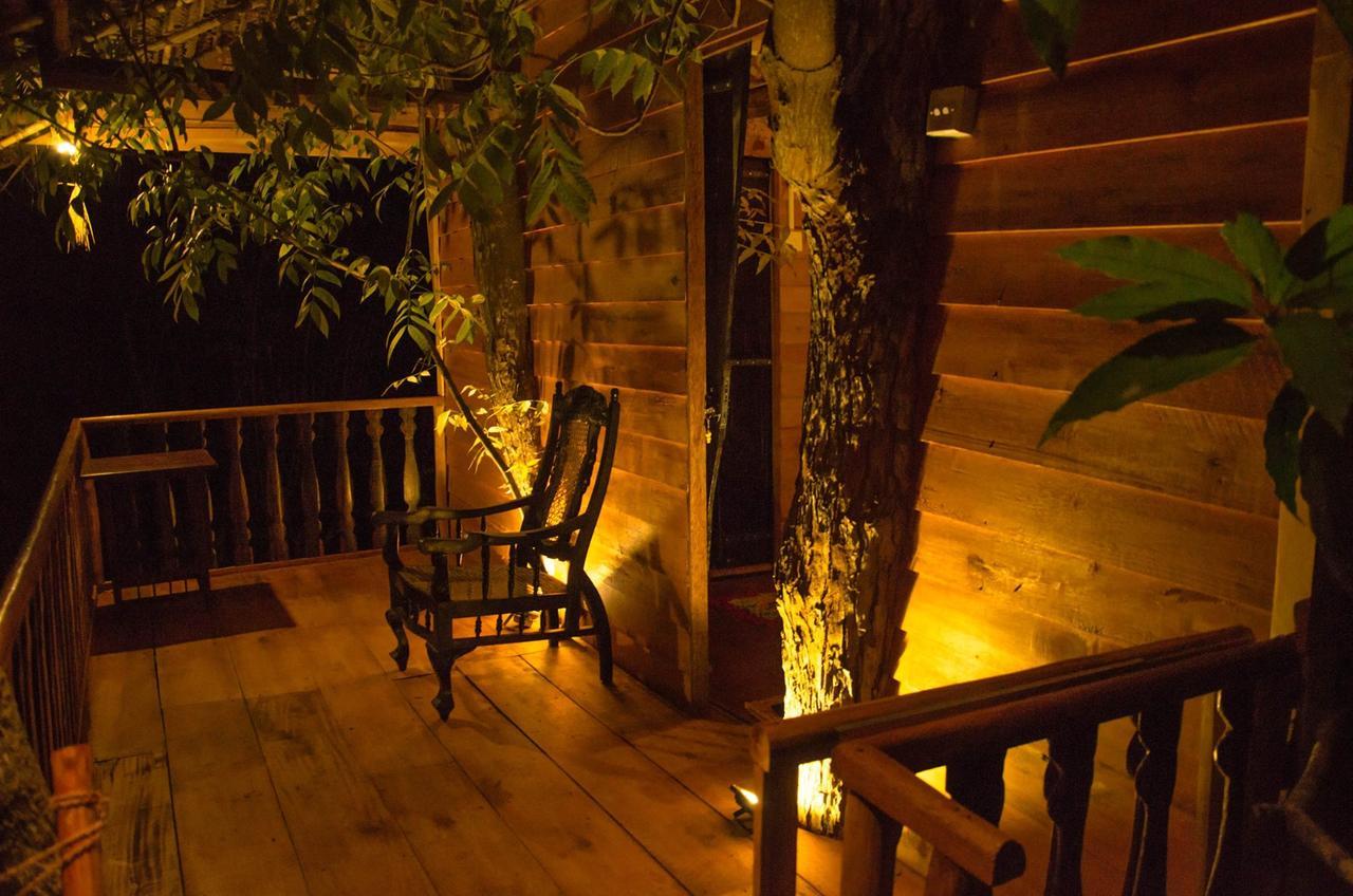 Tree House-Midigama Villa Weligama Dış mekan fotoğraf