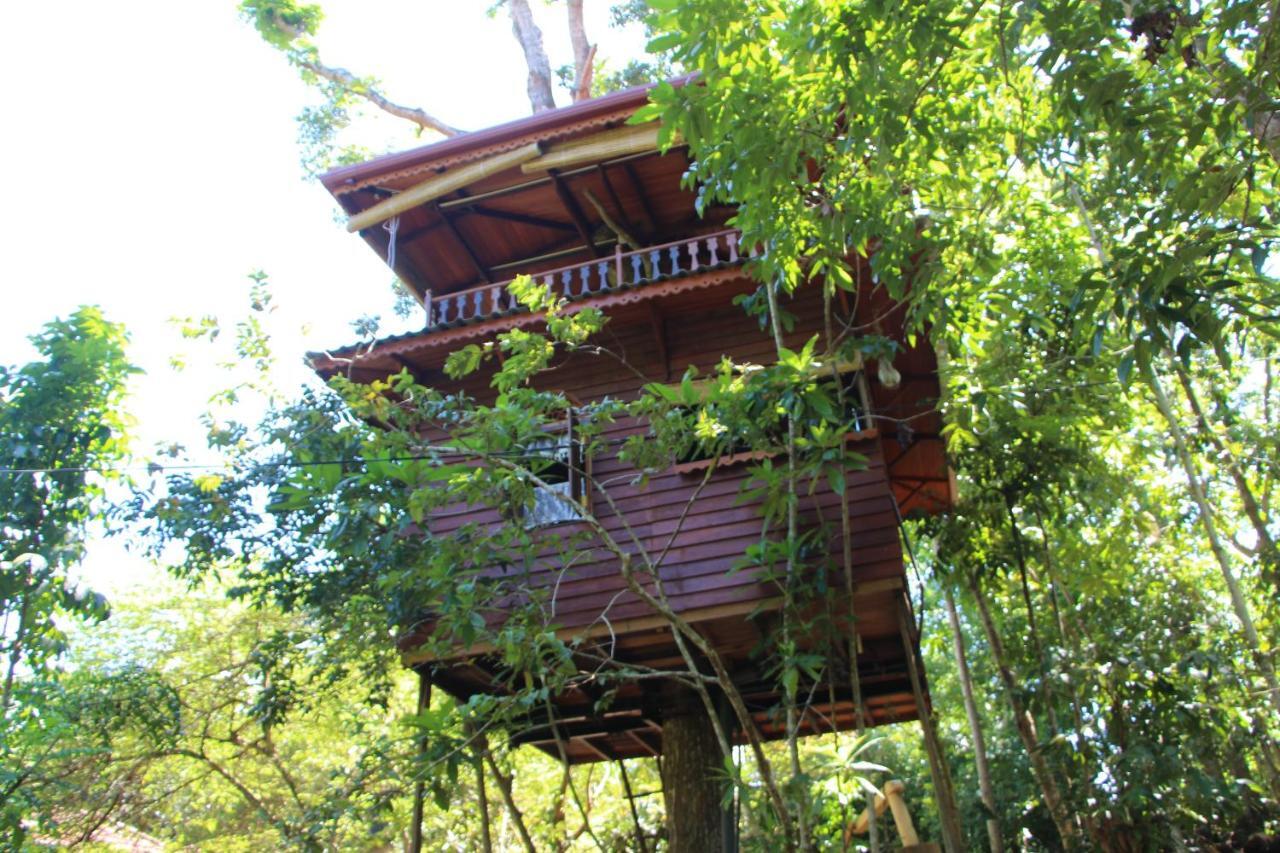 Tree House-Midigama Villa Weligama Dış mekan fotoğraf