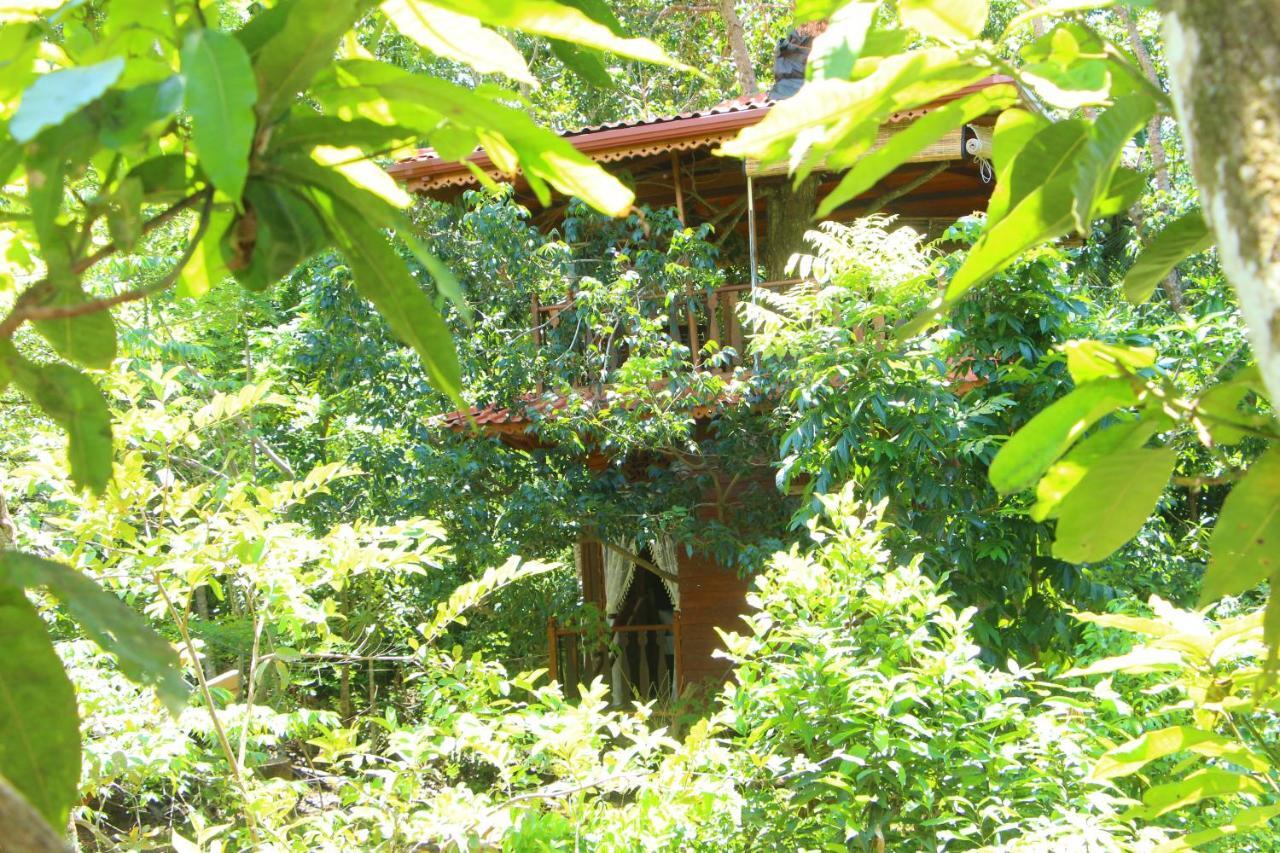 Tree House-Midigama Villa Weligama Dış mekan fotoğraf