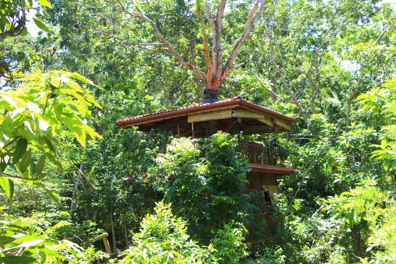 Tree House-Midigama Villa Weligama Dış mekan fotoğraf