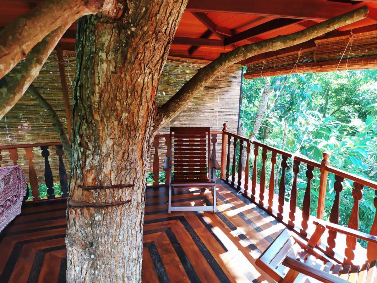 Tree House-Midigama Villa Weligama Dış mekan fotoğraf