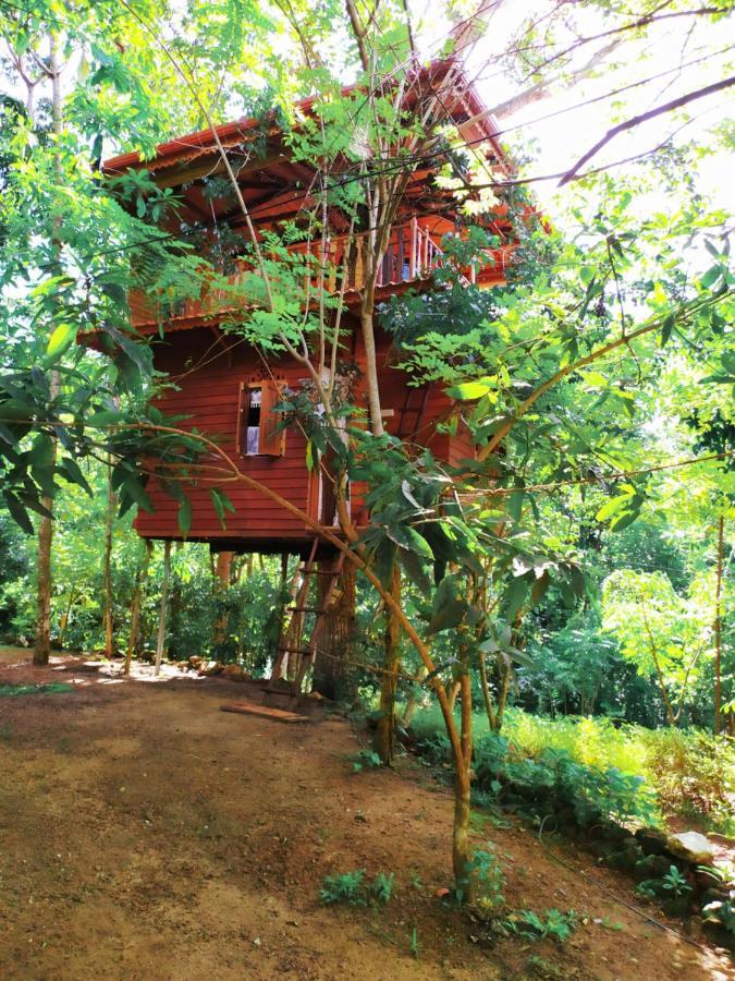 Tree House-Midigama Villa Weligama Dış mekan fotoğraf