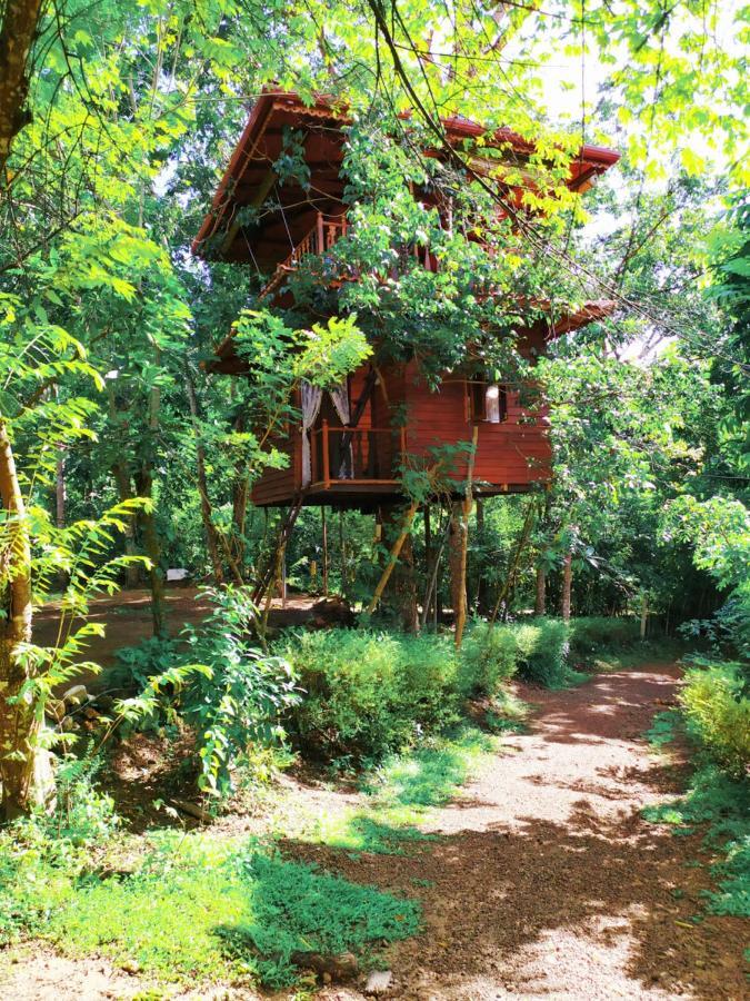 Tree House-Midigama Villa Weligama Dış mekan fotoğraf