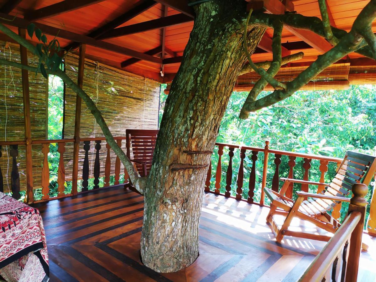Tree House-Midigama Villa Weligama Dış mekan fotoğraf